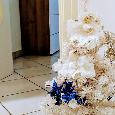 Pina فيكو إيكوينس