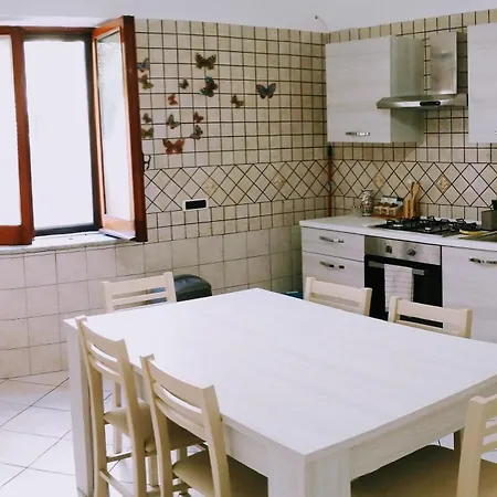 Pina * فيكو إيكوينس