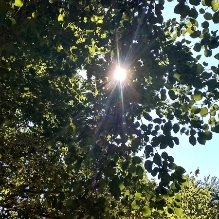 Pina بيت للعطل *